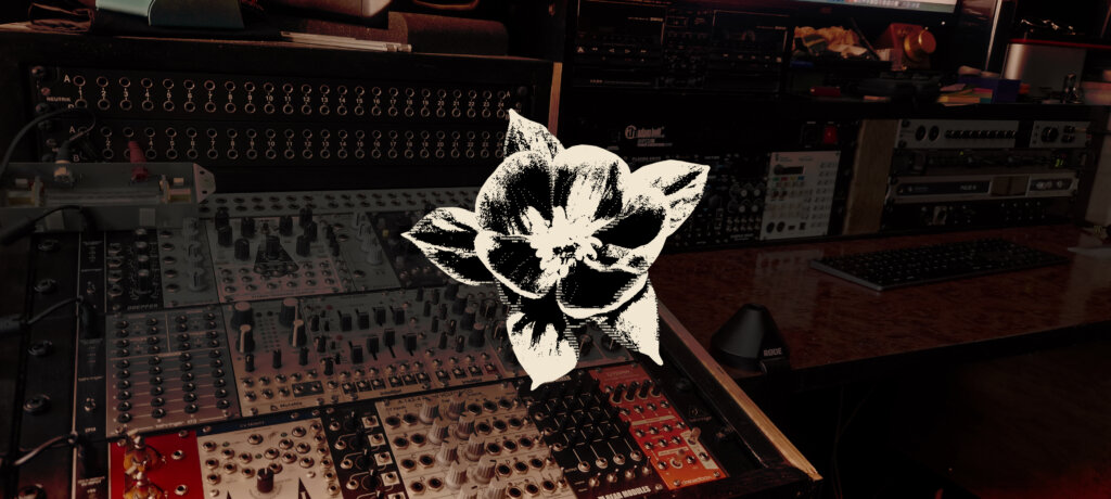 Bloom Code Studio